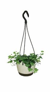 Hanging Pot Planter For Balcony Home