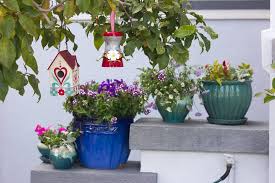 Lovely Erfly And Hummingbird Garden