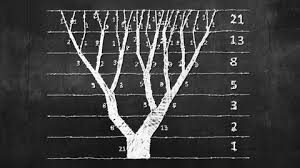 Fibonacci Math Sequence Tree In Chalk