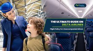 The Ultimate Guide On Delta Airlines