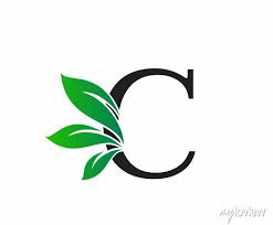 Letter C Logo With Green Leaves Nature