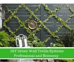 Green Wall Trellis Systems Climbing