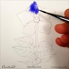 Watercolor For Beginners Blue Flower
