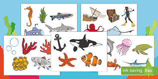 Under The Sea Display Cut Outs Teacher