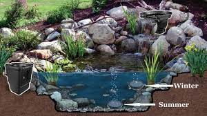 How To Stock A New Koi Pond And Prepare