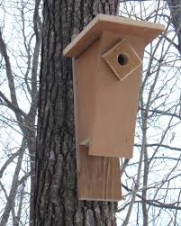 Bluebird House Plans How To Build A