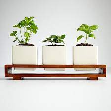 Indoor Herb Planter