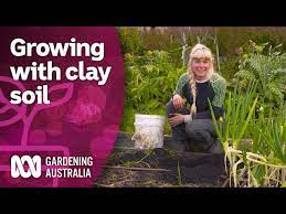 Heavy Clay Soil In Your Garden