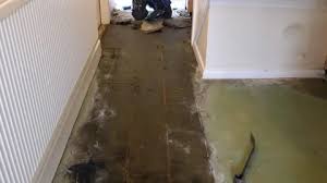 Removing Damaged Flooring After