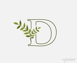 Green Letter D Leaf Icon Logo Design