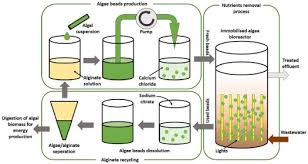 Recovery And Reuse Of Alginate In An