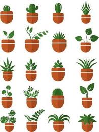 House Plants In Pots Icon Set 2056336