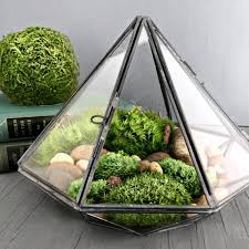 Geometric Glass Diamond Terrarium With