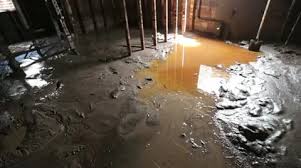 Flood Damage Mud Water In Home Basement