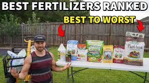 The Best Fertilizers For Vegetables