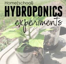 Home Hydroponics Experiments