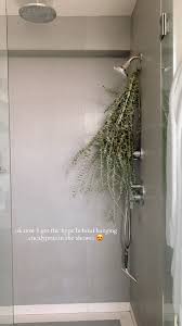 Hanging Eucalyptus In The Shower