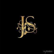 Js Logo Icon Luxury Alphabet Font