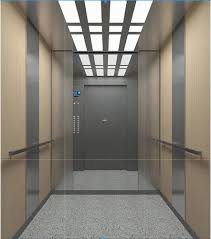 Ss Glass Door Elevator For Residential