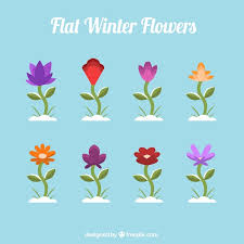 Page 2 Simple Colorful Garden Flowers