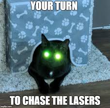 evil cat memes gifs imgflip