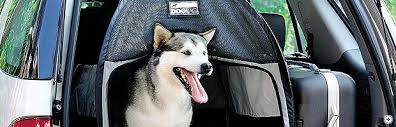 Dog Bag Pet Carrier Pop Up Fabric Pet