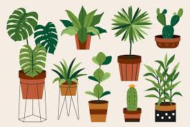 Page 4 House Plant Icon Images Free