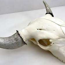 Bison Skull Horns Wall Hanging