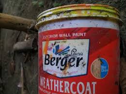 Berger Paints Aims To Double Revenue To