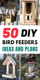 50 Diy Bird Feeders Ideas And Plans