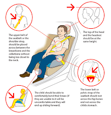 Booster Seat And A Child Seat