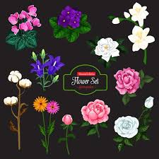 Premium Vector Flower Icon Of Garden