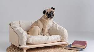 A Dog Sofa Bed Will Get Your Pup Off Of