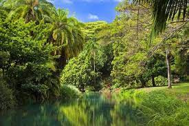National Tropical Botanical Garden Is