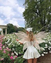 Fairy Wings For S Dress Up