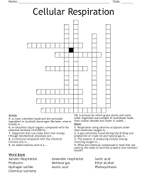 Cellular Respiration Crossword Wordmint