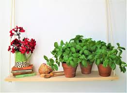 Indoor Planter House Plant Shelf