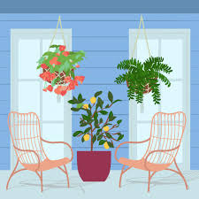 Front Porch Plant Ideas That Bring