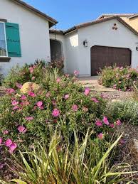 California Friendly Landscaping