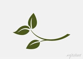 Leaf Branch Icon Eco Environment And