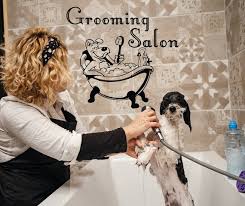 Grooming Salon Wall Decal Dog Grooming