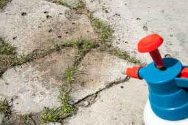 How To Kill Weeds From Driveway And