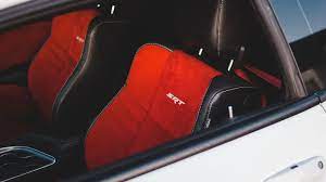 Cloth Or Leather Seats With A Dog