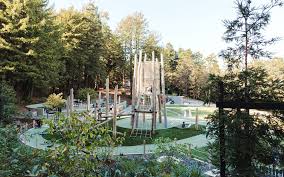 Redwood Grove Playground At Mclaren