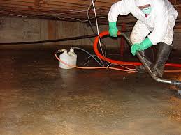 Crawl Space Cleanup Norfolk Virginia