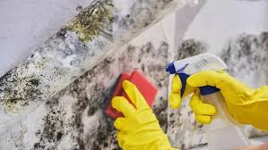 Stop Mould And Condensation By Using
