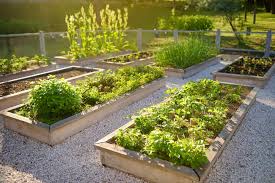 How To Create The Perfect Raised Bed Garden