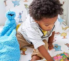 Cookie Monster Toddler Lovey