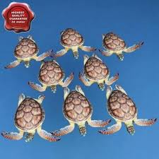 Sea Turtle Chelonia Mydas Poses 3d