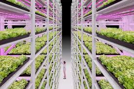 Vertical Indoor Farming System For